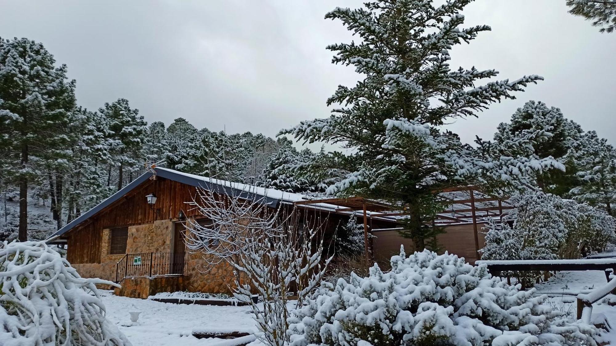Chalet Esmeralda 3 D Y 2 Banos Zafiro Lagunazo Parque Natural Rio Mundo Riópar Exterior foto